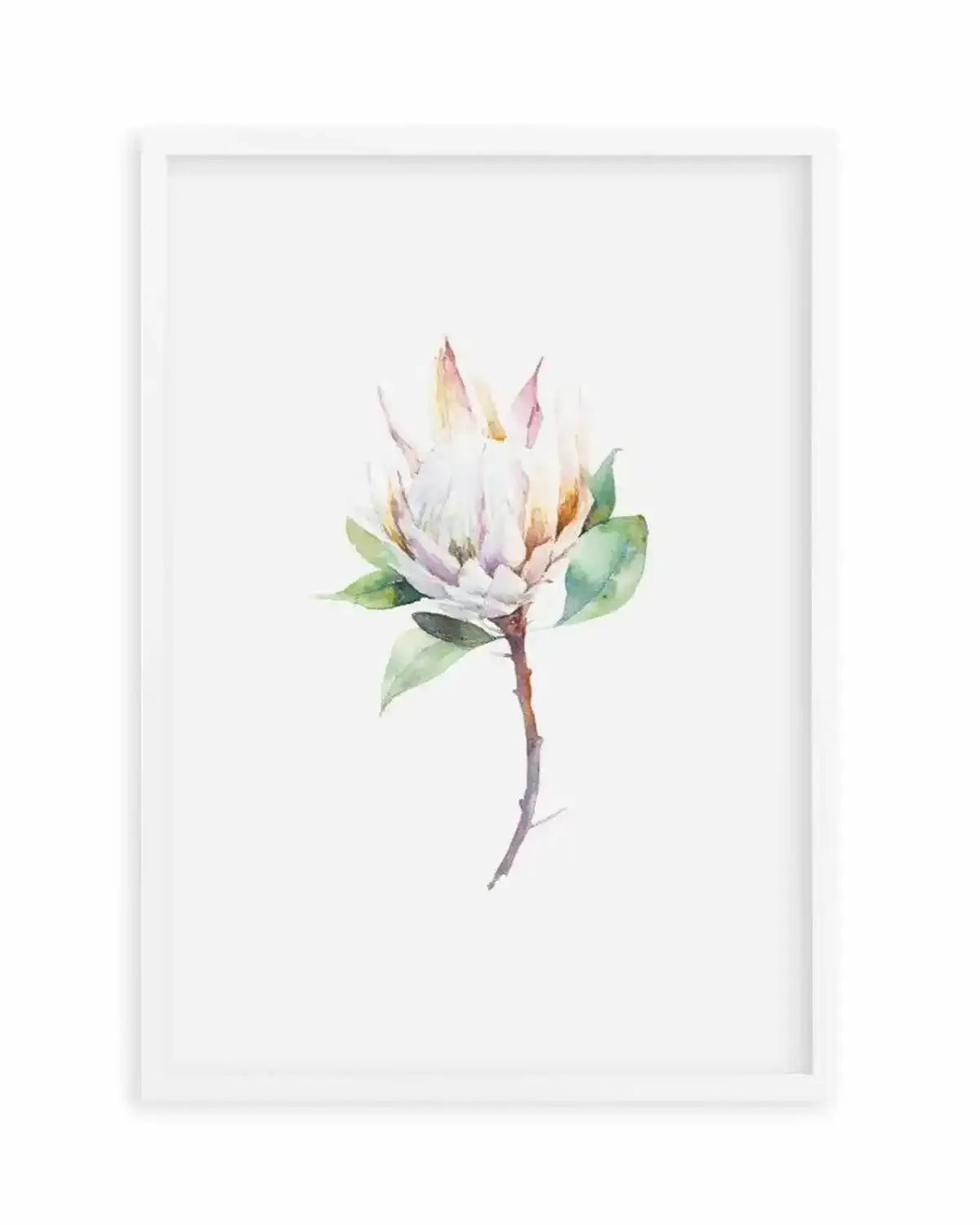 Protea in Watercolour Art Print from Olive et Oriel where you can shop wallpaper and artworks online