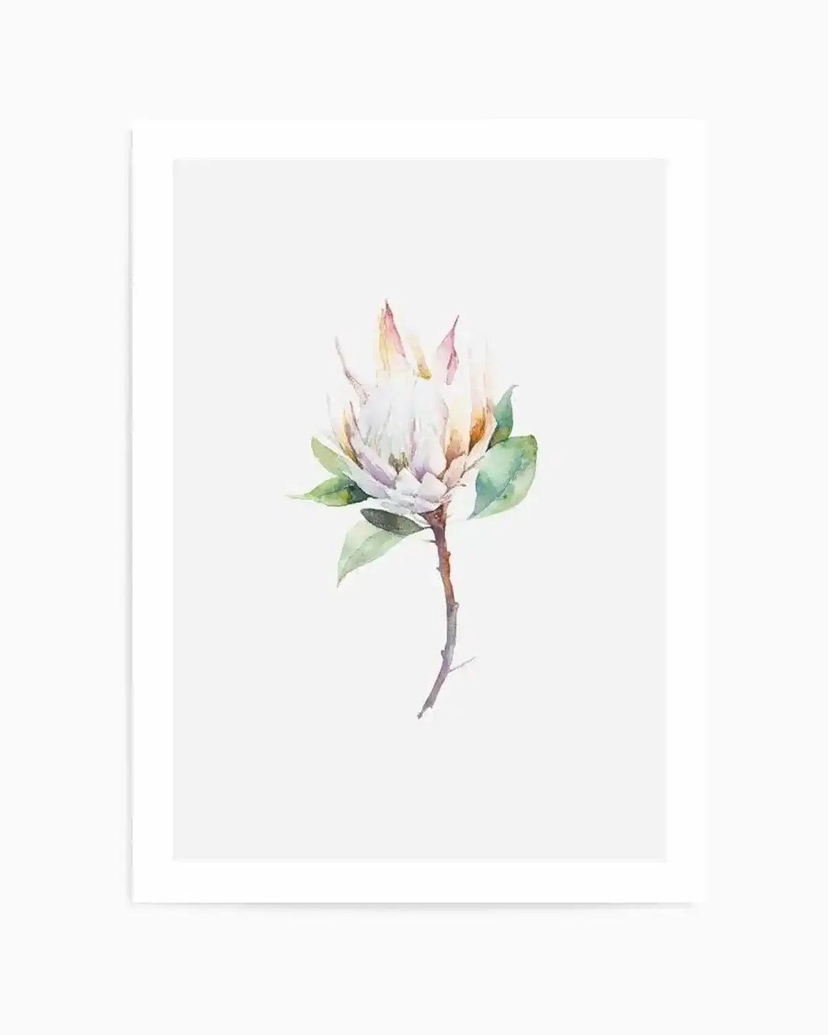 Protea in Watercolour Art Print from Olive et Oriel where you can shop wallpaper and artworks online