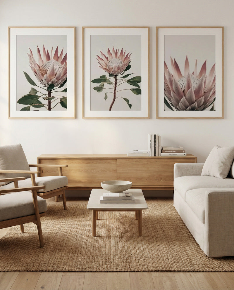Protea In Overture I, II & III | 3 Piece Wall Art Set in Pink art print oak frame with white border