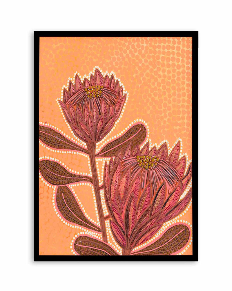 Proteas By Domica Hill Art Print