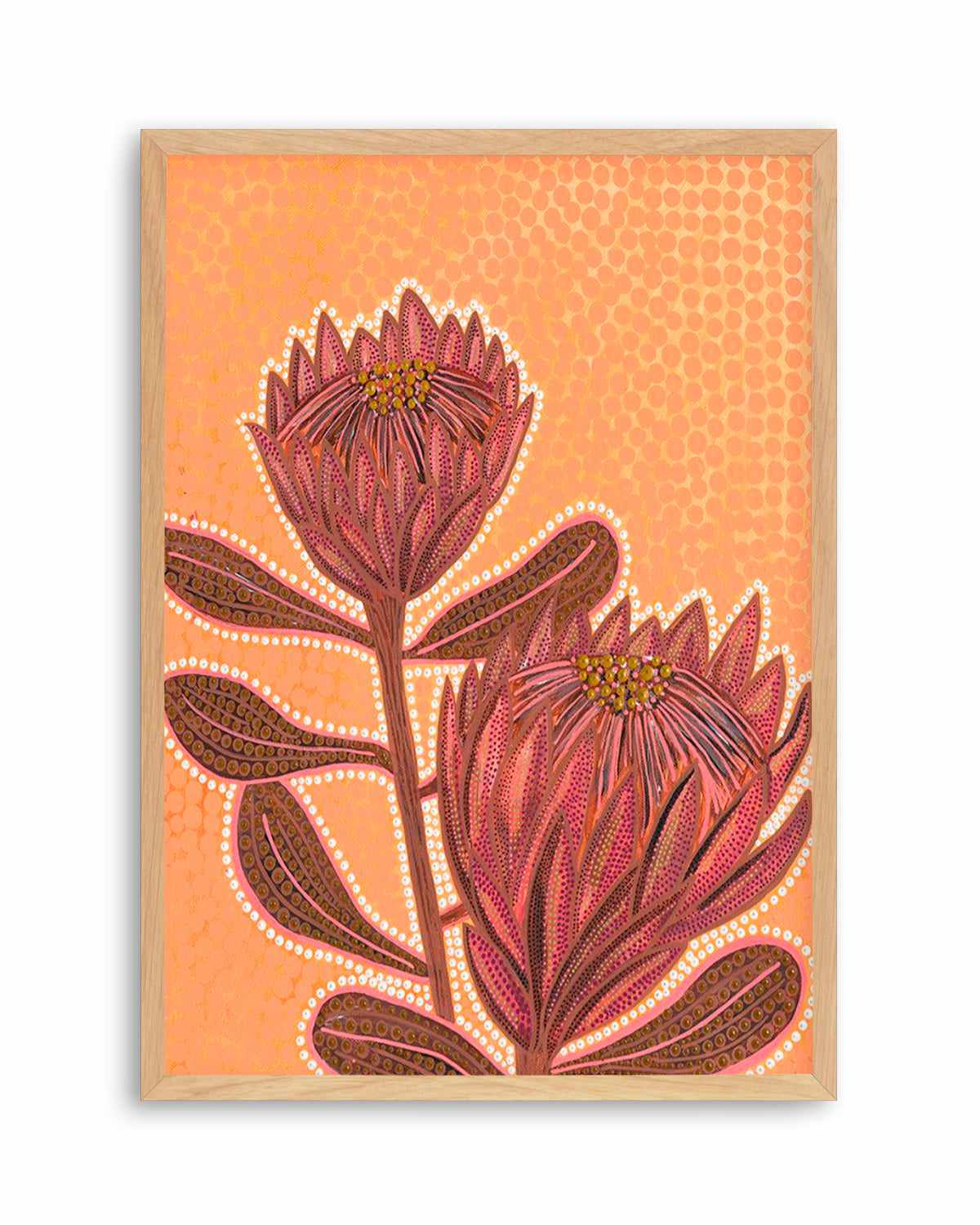 Proteas By Domica Hill Art Print