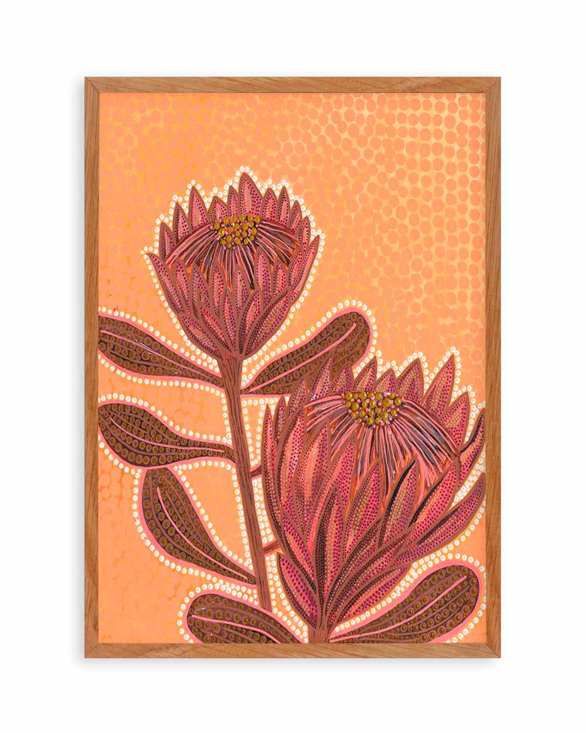 Proteas By Domica Hill Art Print