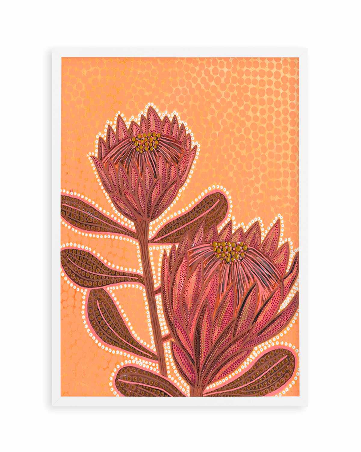 Proteas By Domica Hill Art Print