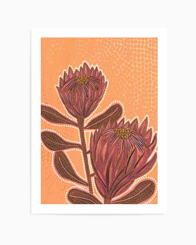 Proteas By Domica Hill Art Print