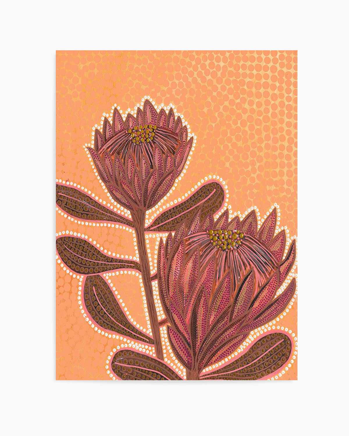 Proteas By Domica Hill Art Print