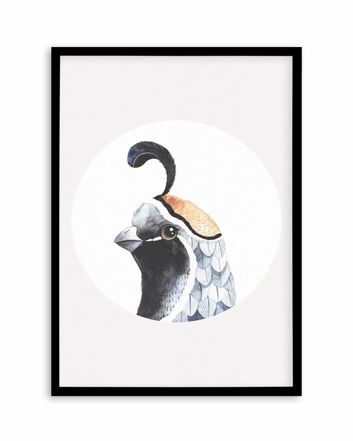 Quail Art Print