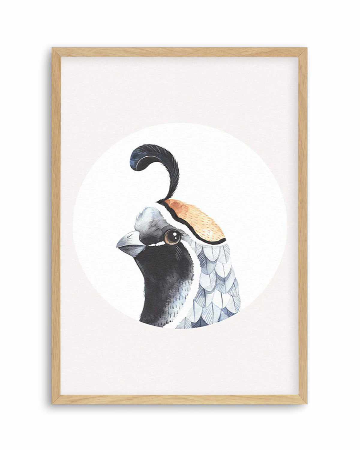 Quail Art Print