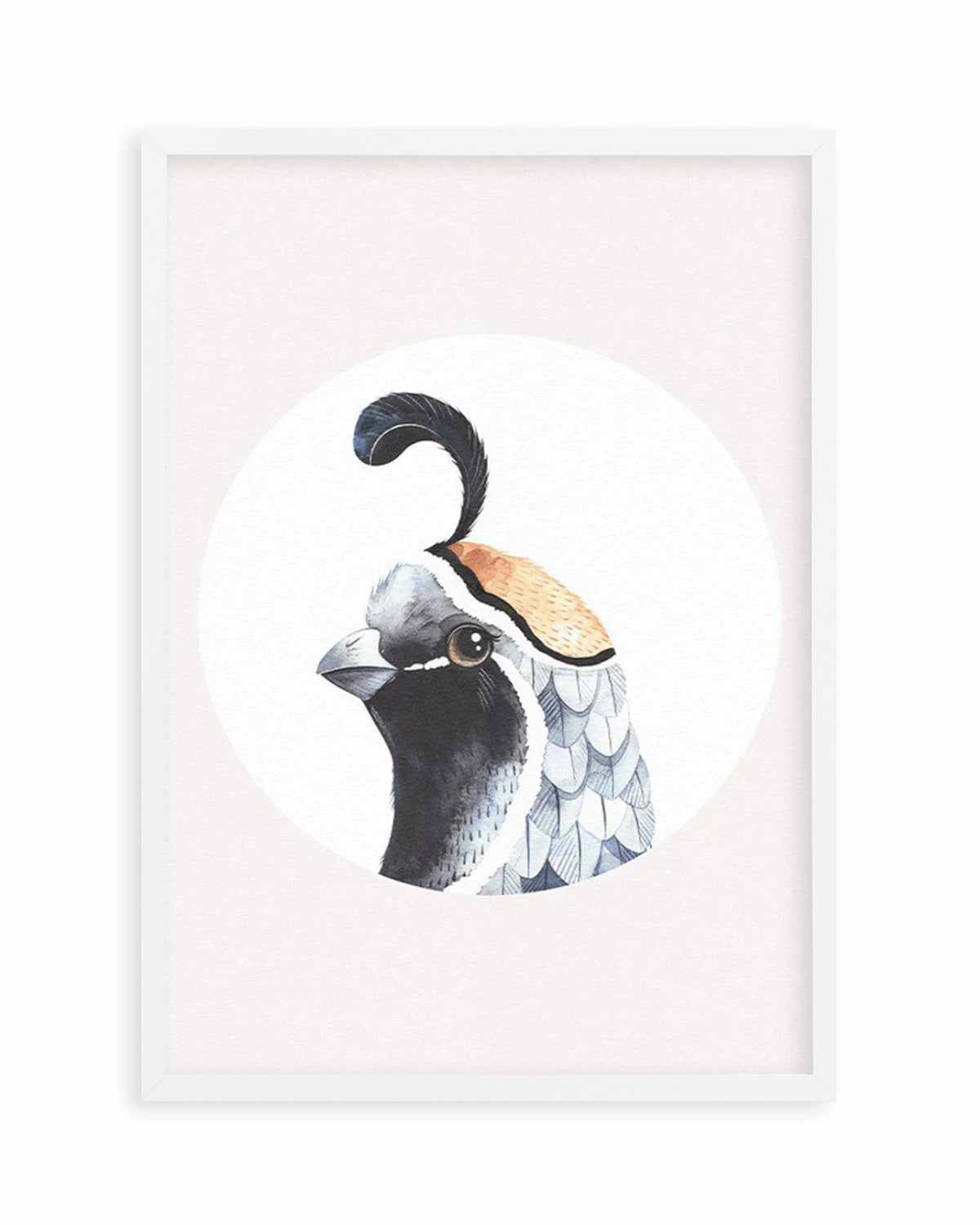 Quail Art Print