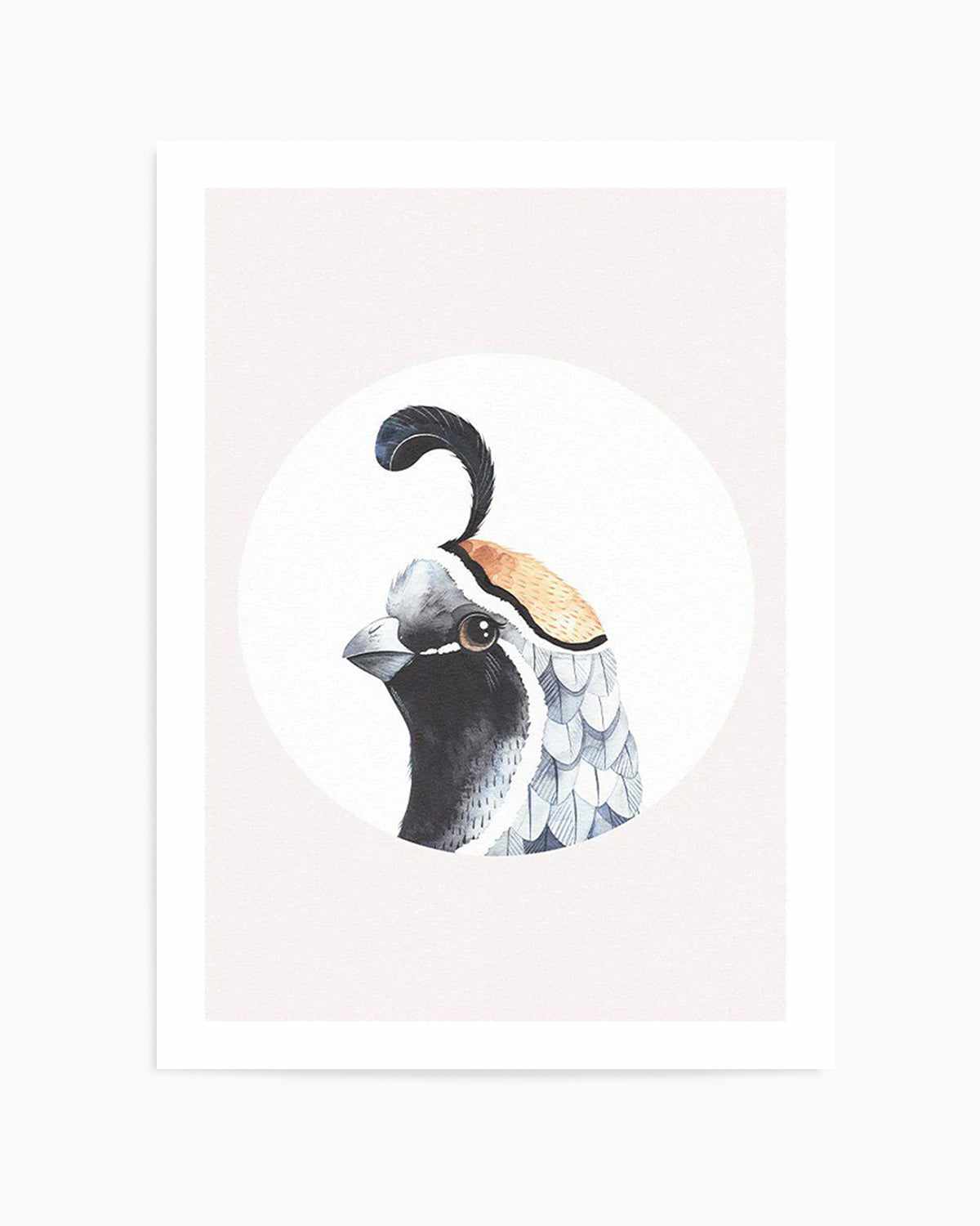 Quail Art Print