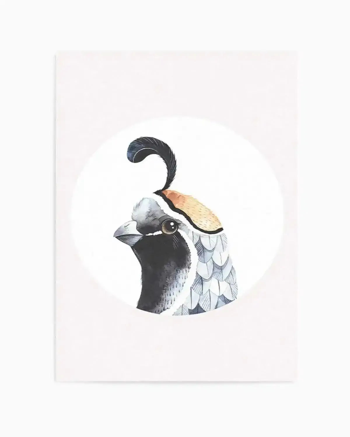 Quail Art Print from Olive et Oriel where you can shop wallpaper and artworks online