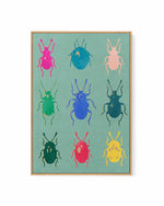 Rainbow Beetle | Framed Canvas Art Print