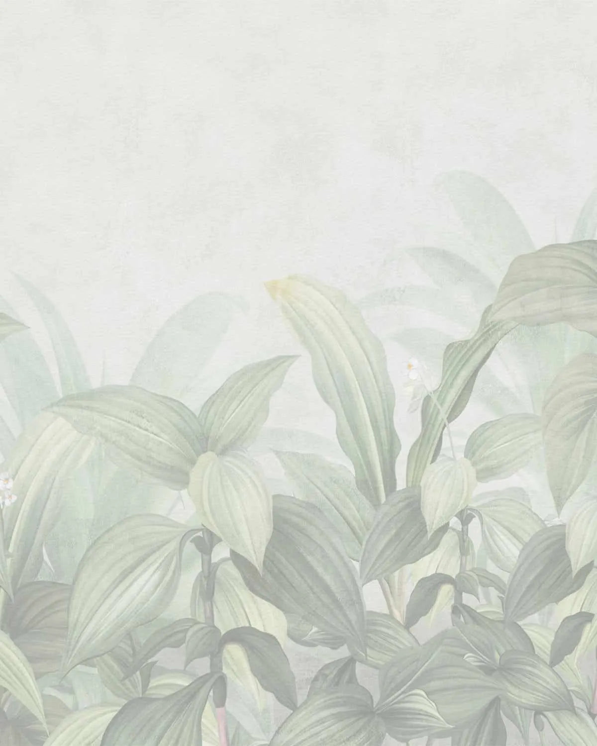 Rainforest Luxe Wallpaper-Wallpaper-Buy Australian Removable Wallpaper Now Sage Green Wallpaper Peel And Stick Wallpaper Online At Olive et Oriel Custom Made Wallpapers Wall Papers Decorate Your Bedroom Living Room Kids Room or Commercial Interior