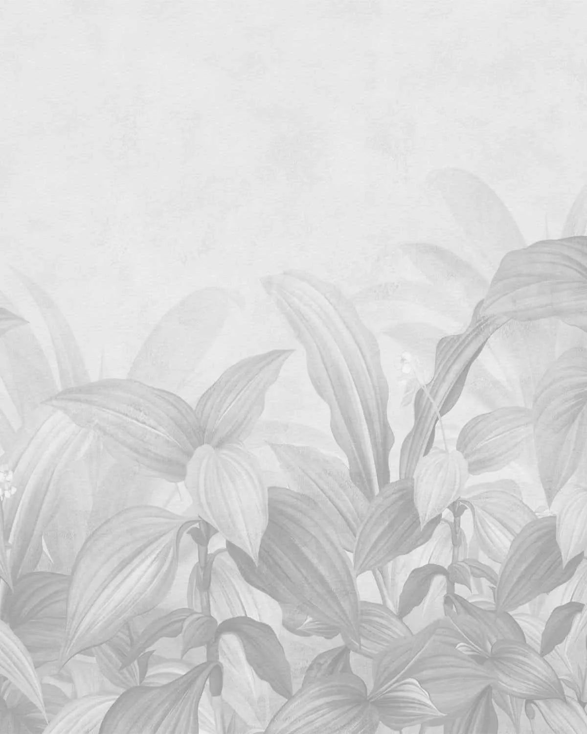 Rainforest Luxe in B&W Wallpaper-Wallpaper-Buy-Australian-Removable-Wallpaper-Now-In-Black-&-White-Wallpaper-Peel-And-Stick-Wallpaper-Online-At-Olive-et-Oriel-Custom-Made-Wallpapers-Wall-Papers-Decorate-Your-Bedroom-Living-Room-Kids-Room-or-Commercial-Interior