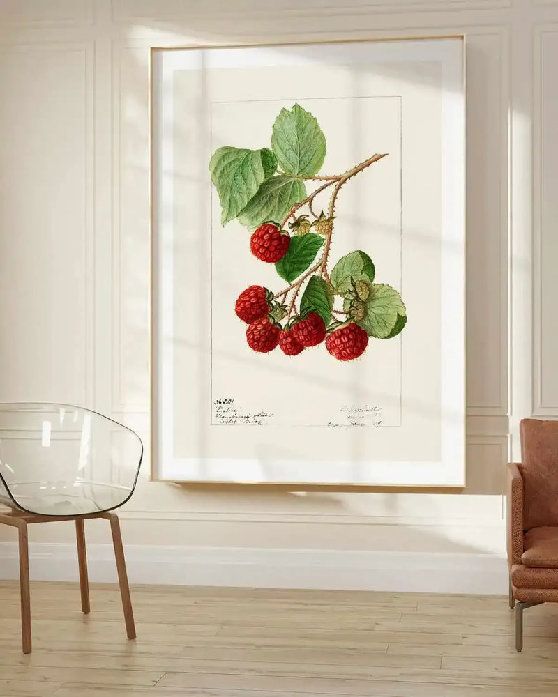 Raspberries Vintage Poster Art Print from Olive et Oriel where you can shop wallpaper and artworks online