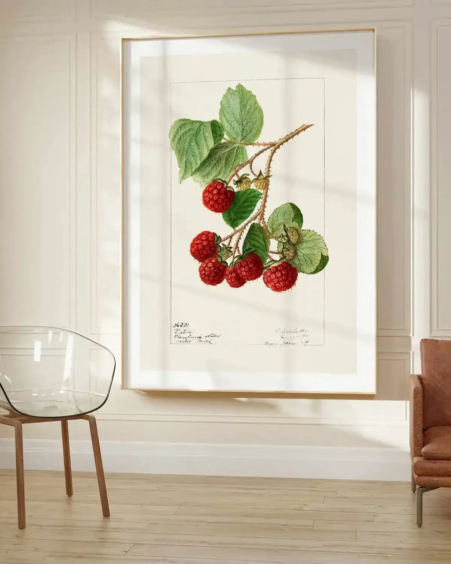 Raspberries Vintage Poster Art Print from Olive et Oriel where you can shop wallpaper and artworks online