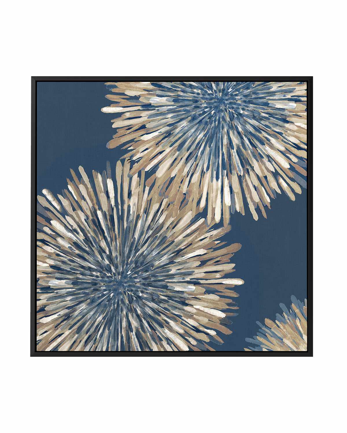 Ray of Burst I | Framed Canvas Art Print