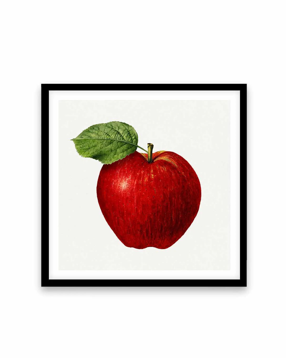 Red Apple Vintage Poster Art Print from Olive et Oriel where you can shop wallpaper and artworks online