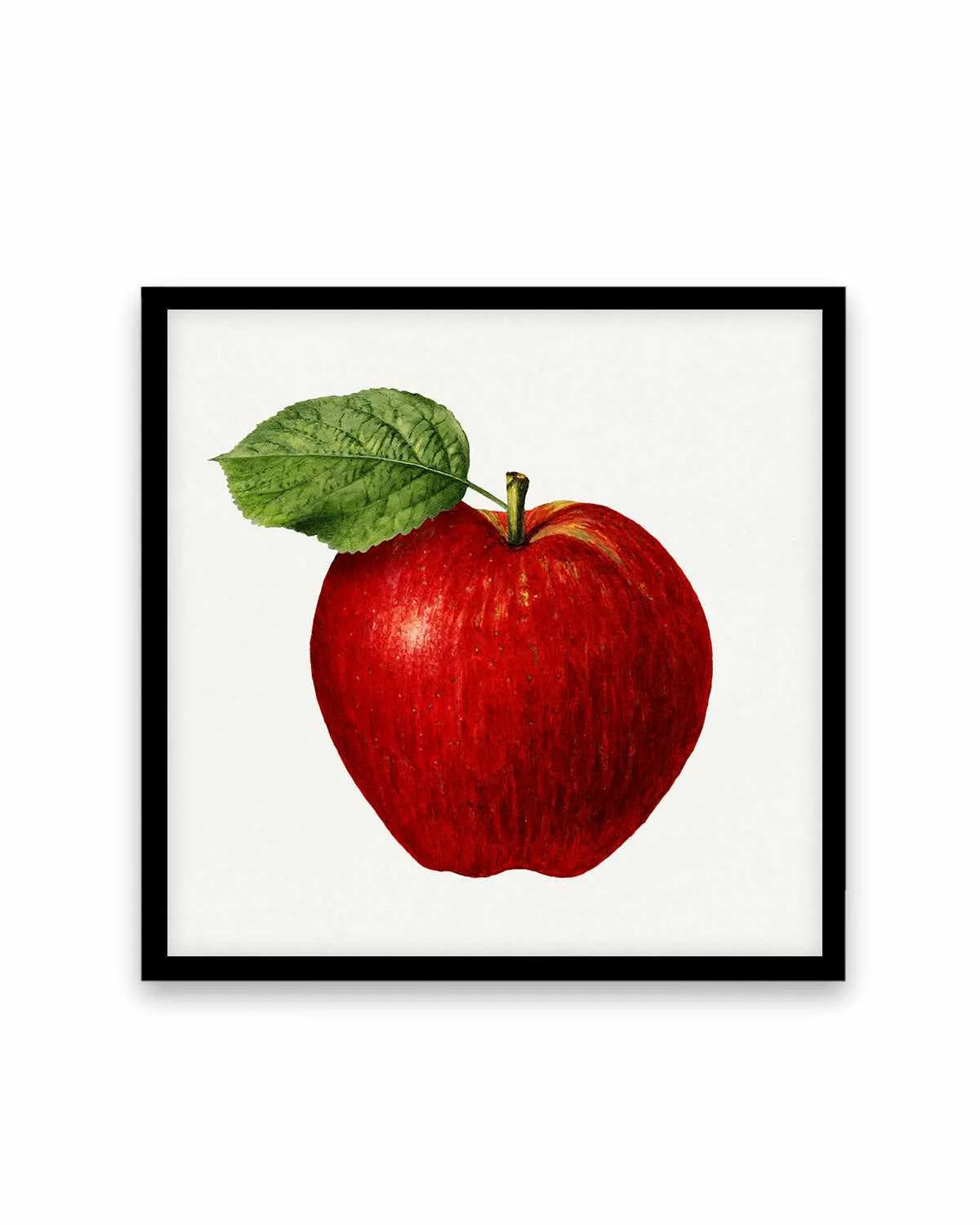 Red Apple Vintage Poster Art Print from Olive et Oriel where you can shop wallpaper and artworks online