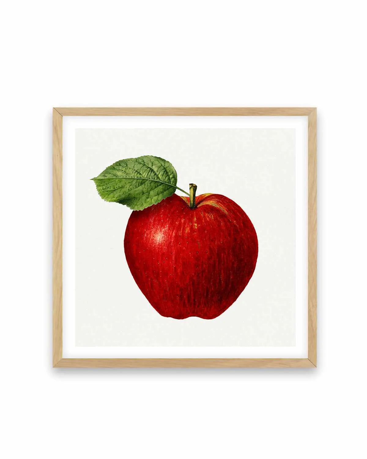 Red Apple Vintage Poster Art Print from Olive et Oriel where you can shop wallpaper and artworks online
