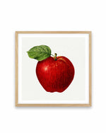 Red Apple Vintage Poster Art Print