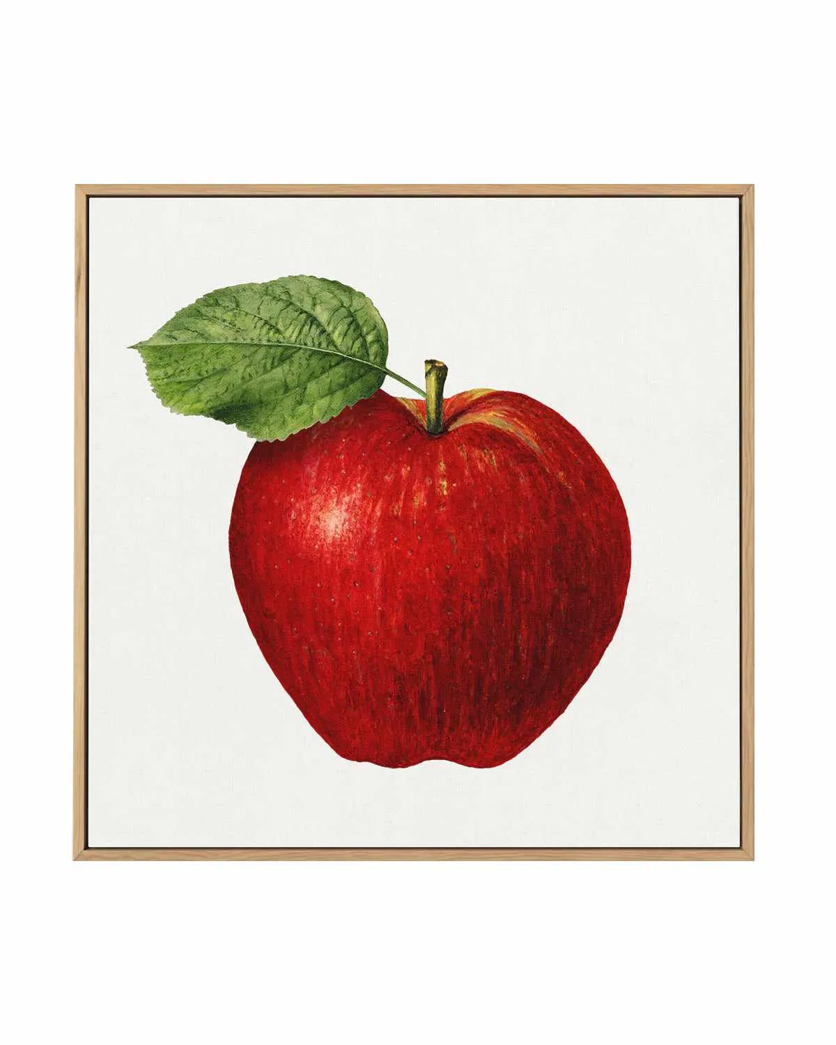 Red Apple Vintage Poster | Framed Canvas Art Print from Olive et Oriel where you can shop wallpaper and artworks online