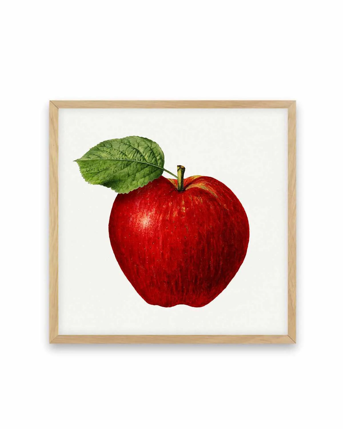 Red Apple Vintage Poster Art Print from Olive et Oriel where you can shop wallpaper and artworks online