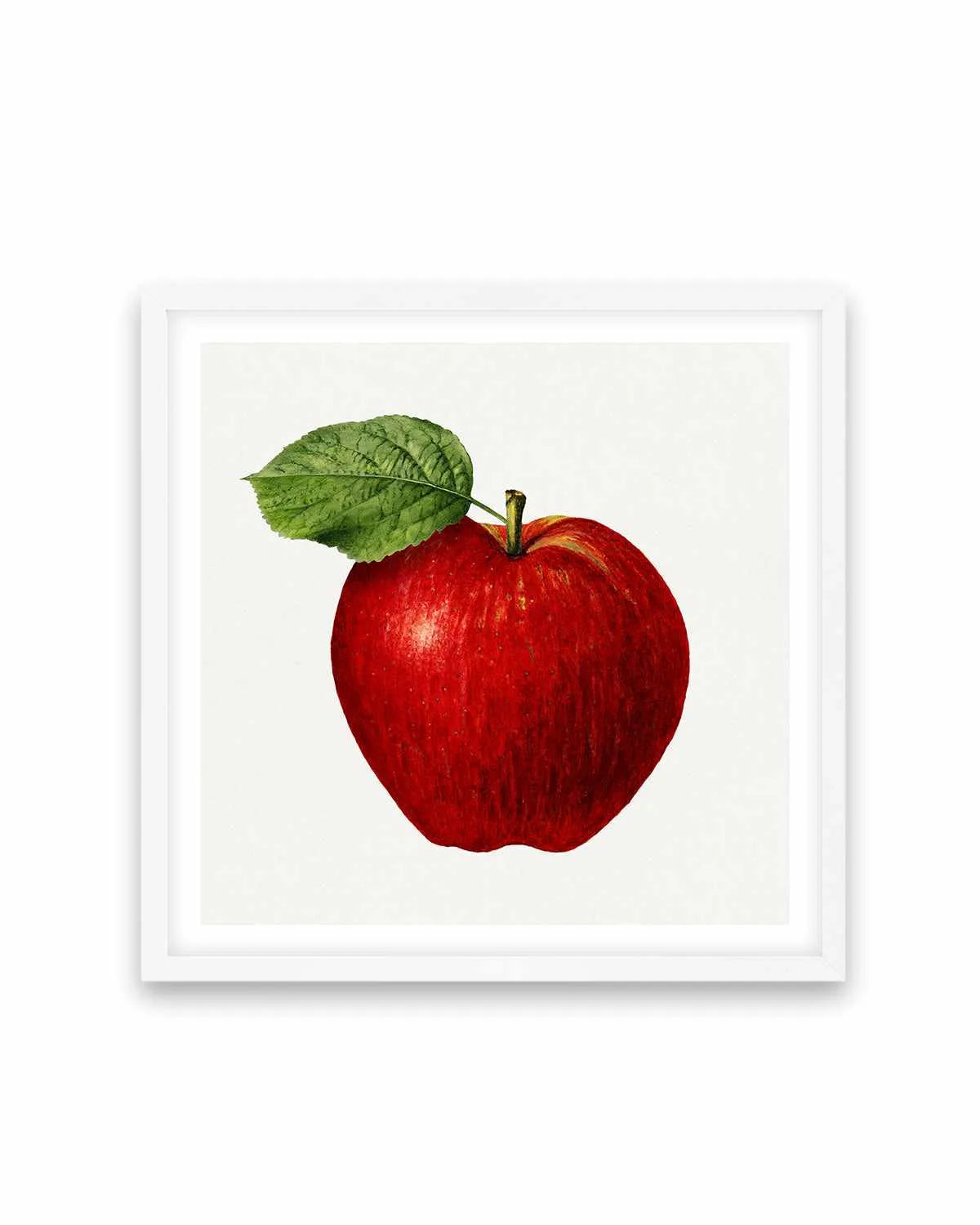 Red Apple Vintage Poster Art Print from Olive et Oriel where you can shop wallpaper and artworks online