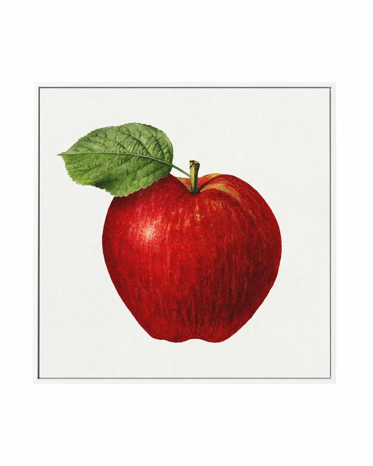 Red Apple Vintage Poster | Framed Canvas Art Print from Olive et Oriel where you can shop wallpaper and artworks online