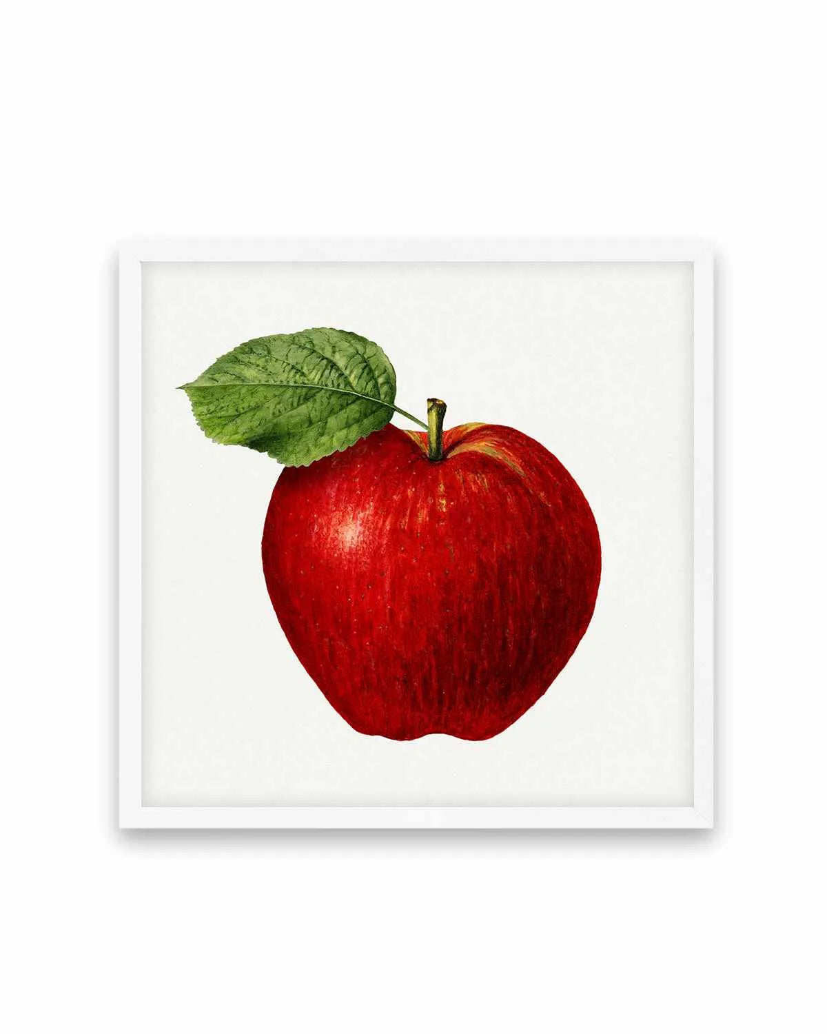 Red Apple Vintage Poster Art Print from Olive et Oriel where you can shop wallpaper and artworks online