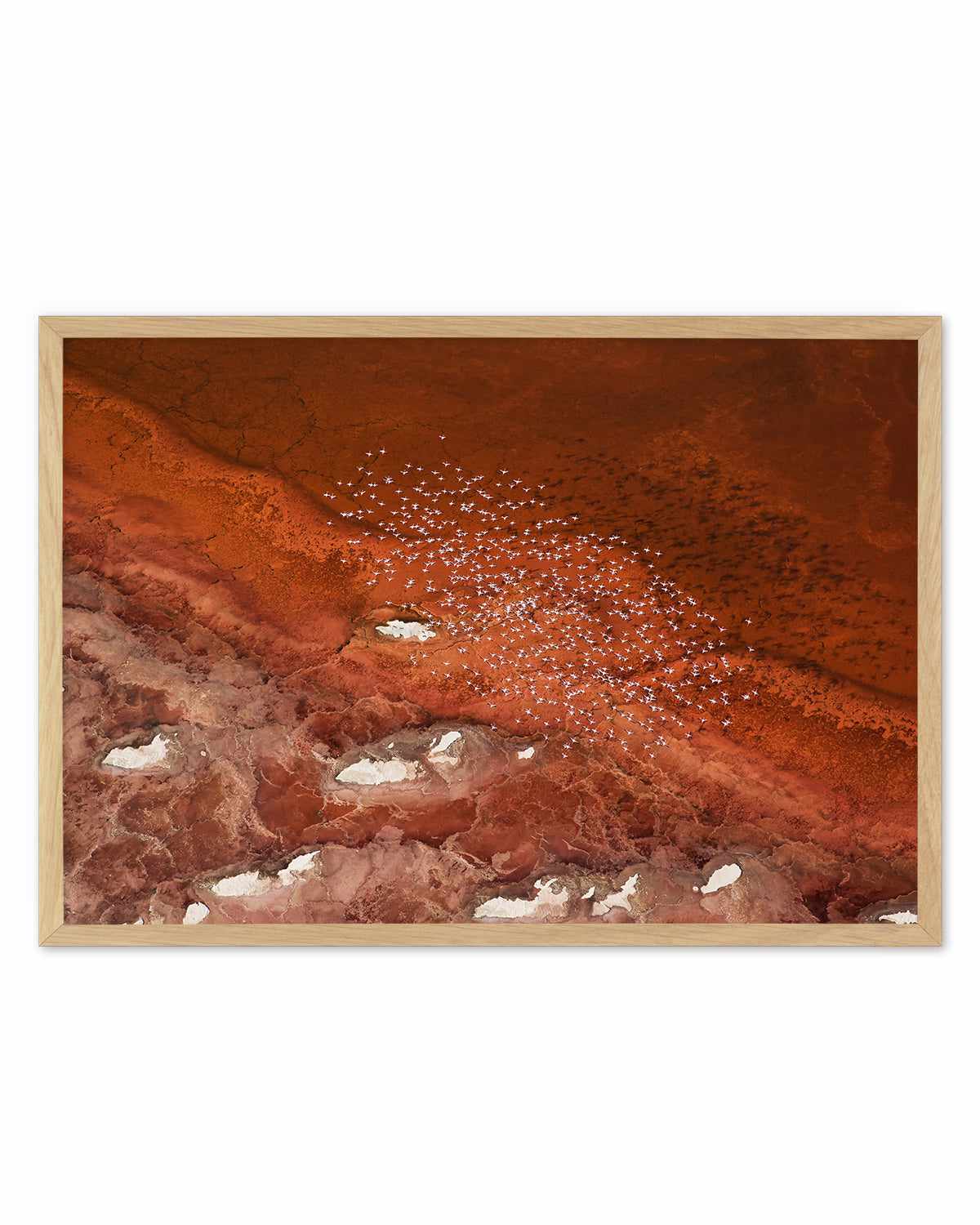 Red Earth by Phillip Chang Art Print