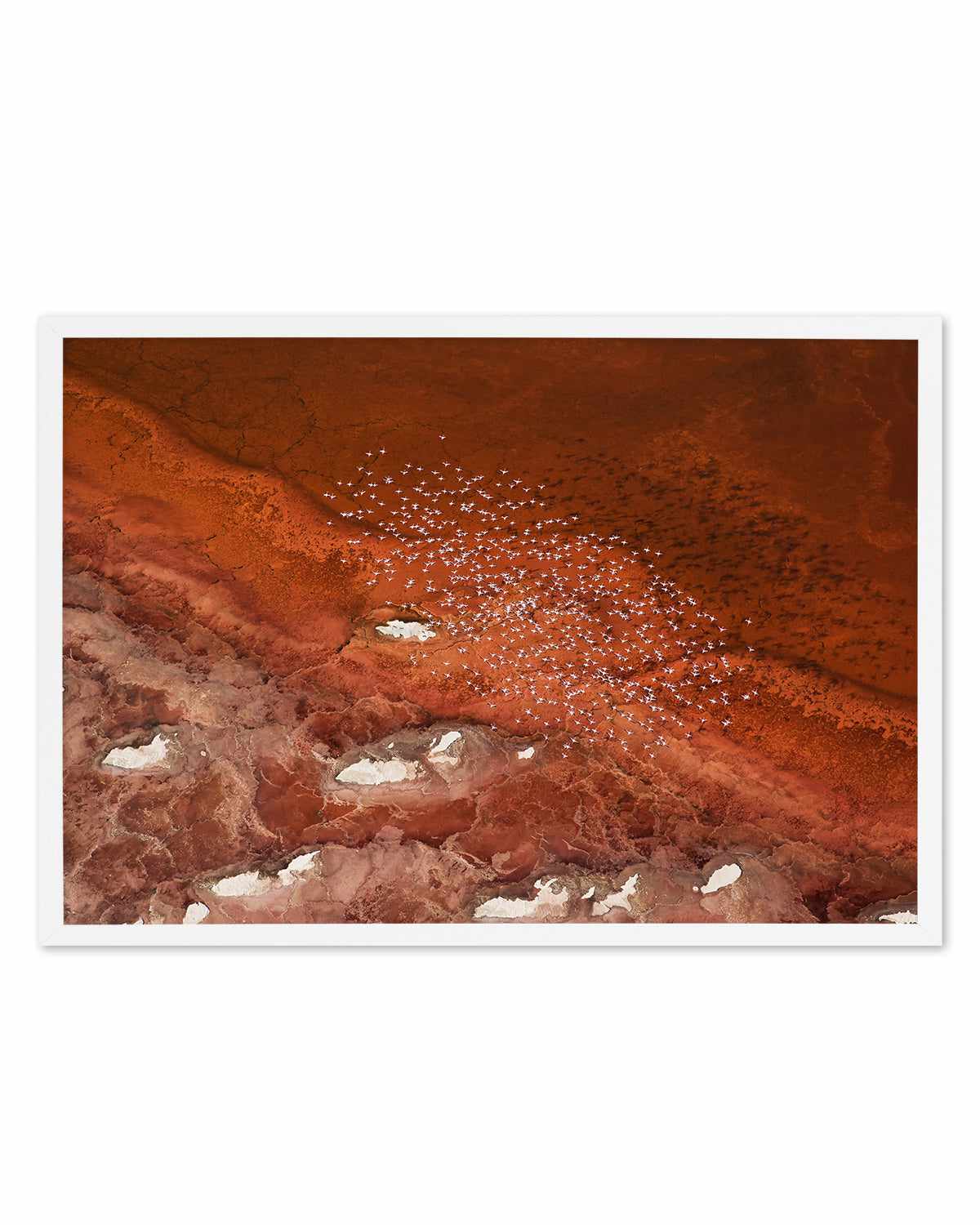 Red Earth by Phillip Chang Art Print