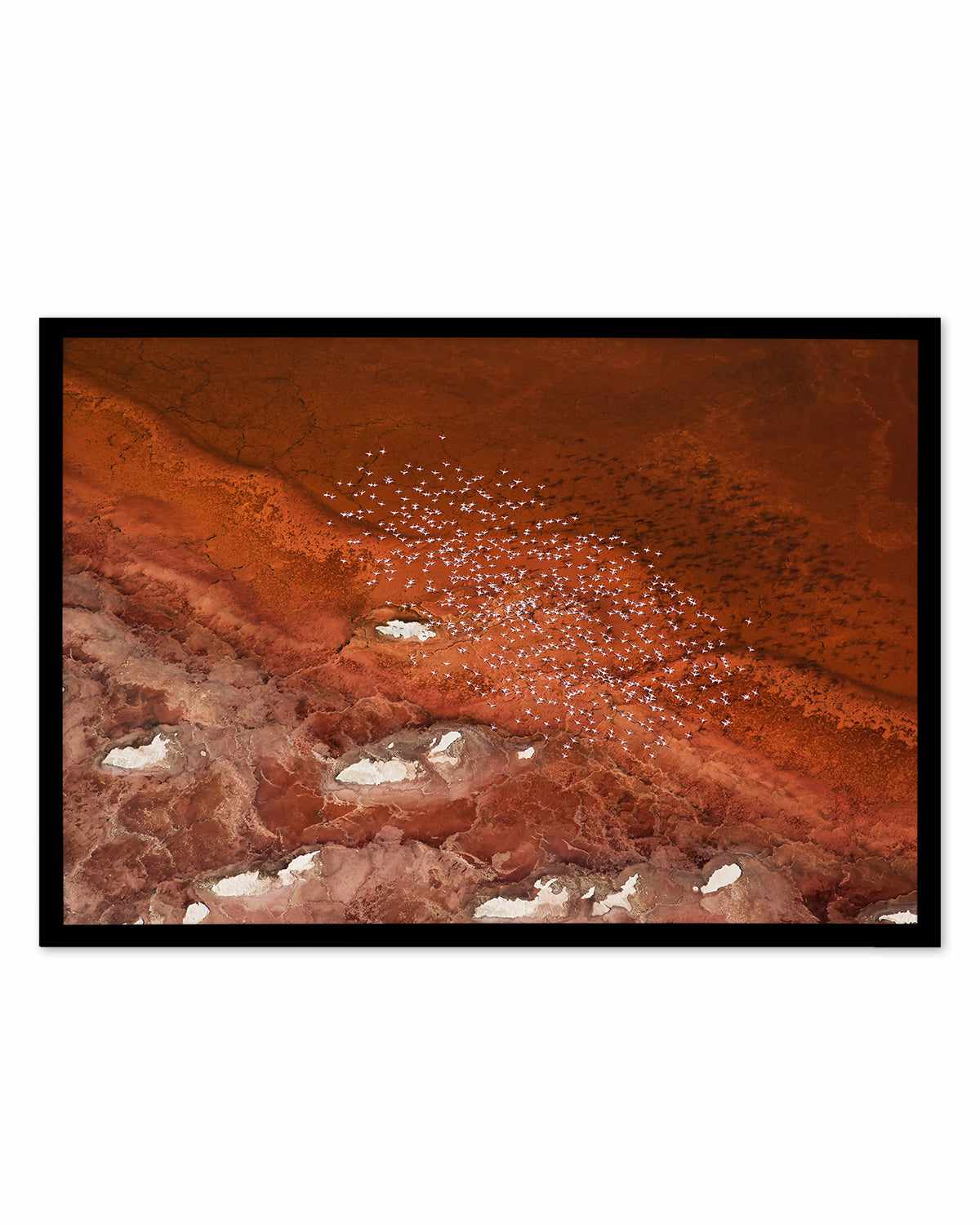 Red Earth by Phillip Chang Art Print