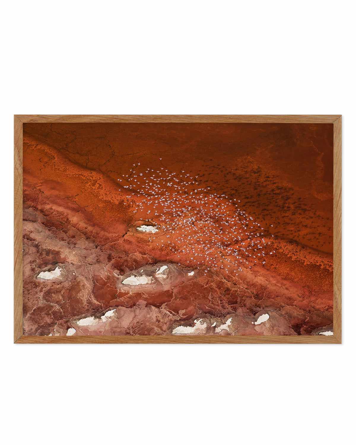 Red Earth by Phillip Chang Art Print