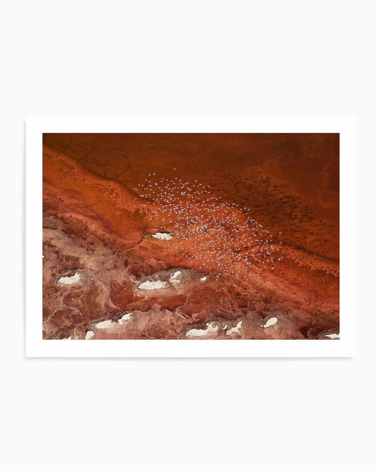 Red Earth by Phillip Chang Art Print from Olive et Oriel where you can shop wallpaper and artworks online