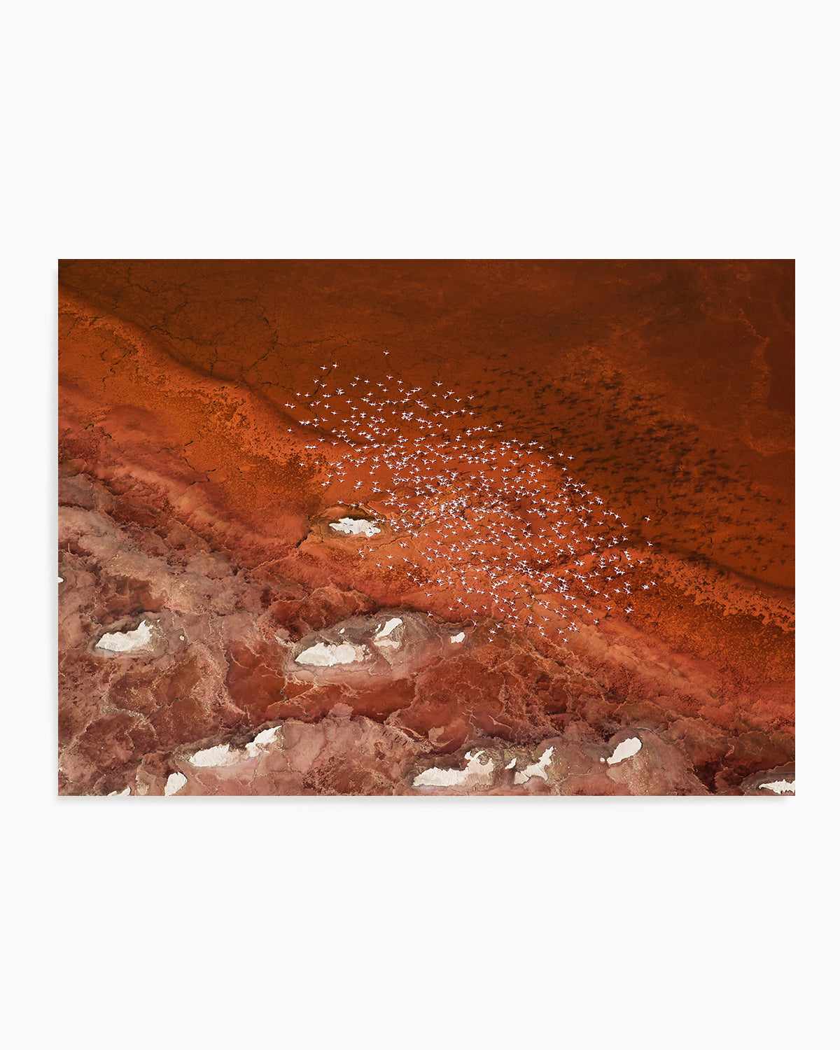 Red Earth by Phillip Chang Art Print