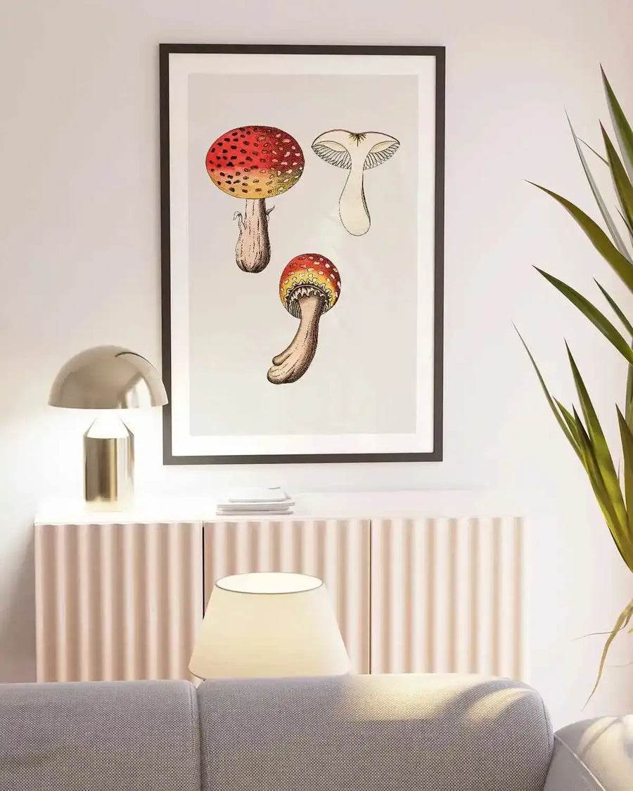 Red Mushroom Vintage Illustration Art Print from Olive et Oriel where you can shop wallpaper and artworks online