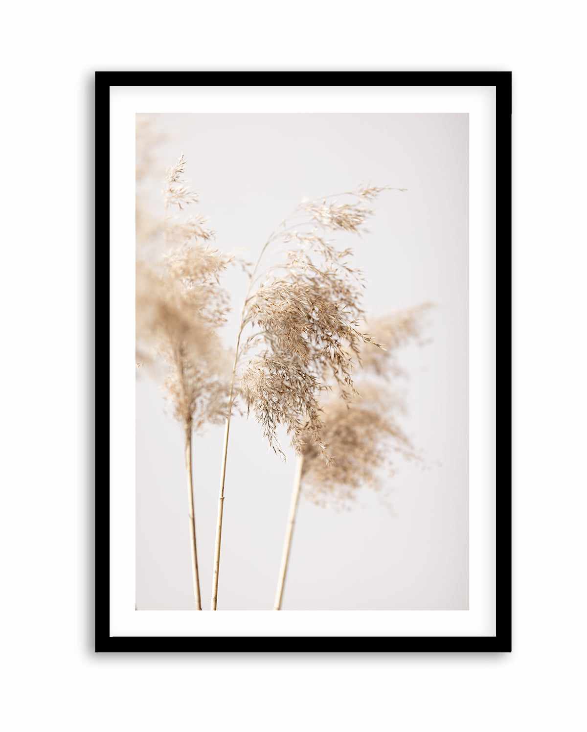 Reed Grass Grey IX By Studio III | Art Print from Olive et Oriel where you can shop wallpaper and artworks online