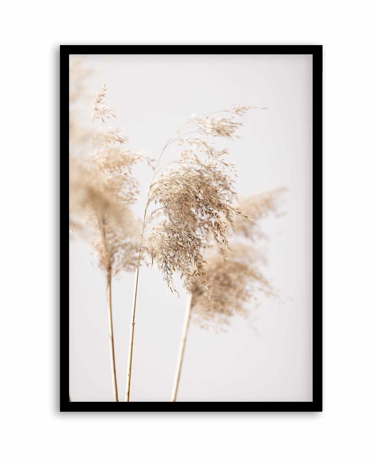 Reed Grass Grey IX By Studio III | Art Print from Olive et Oriel where you can shop wallpaper and artworks online