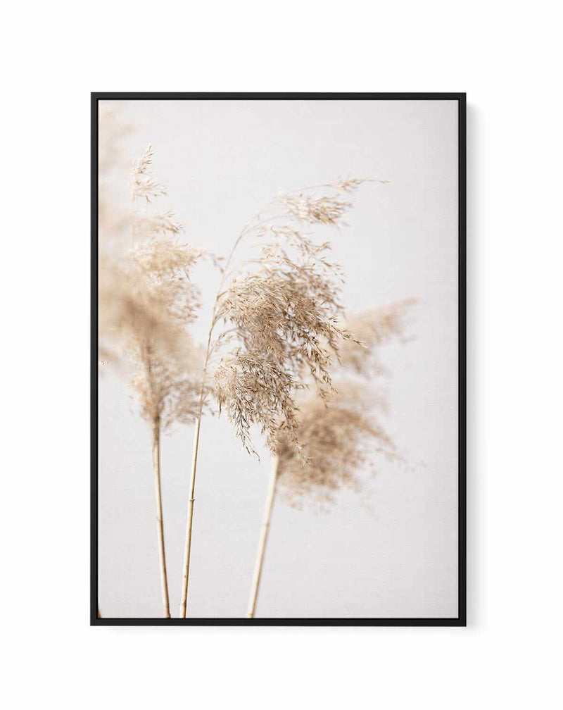 Reed Grass Grey IX By Studio III | Framed Canvas Art Print