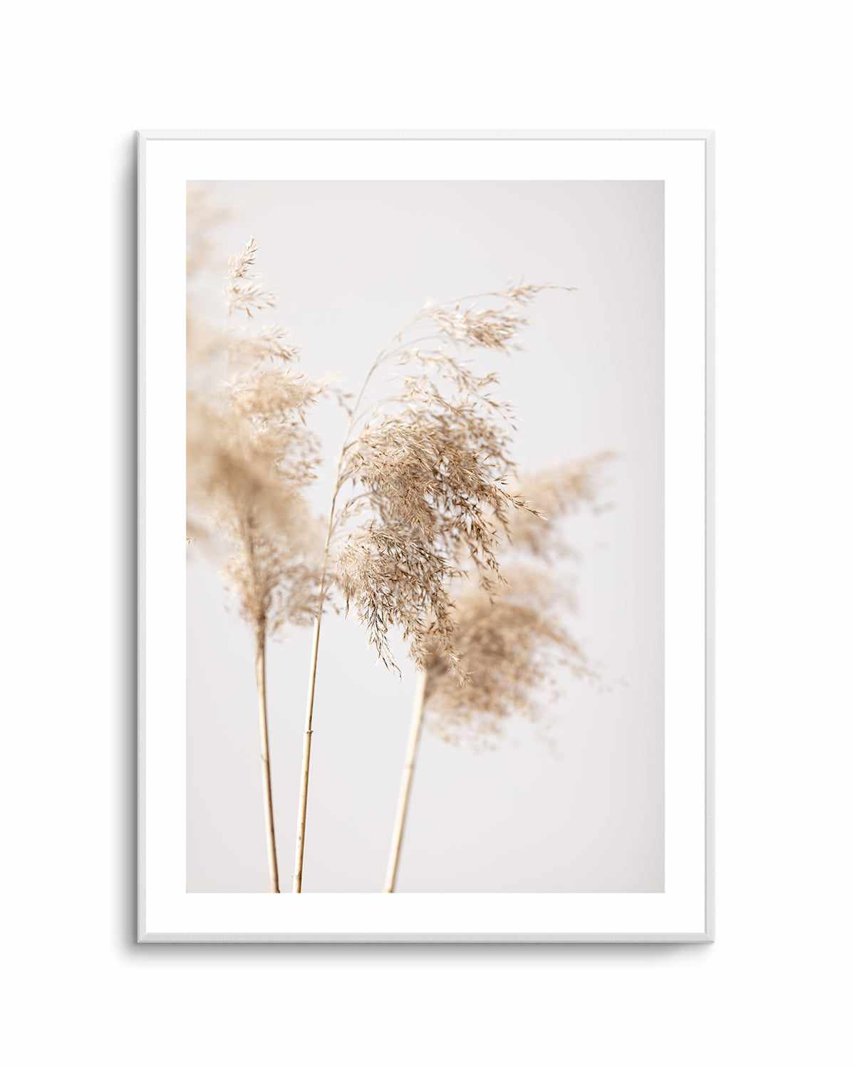 Reed Grass Grey IX By Studio III | Art Print