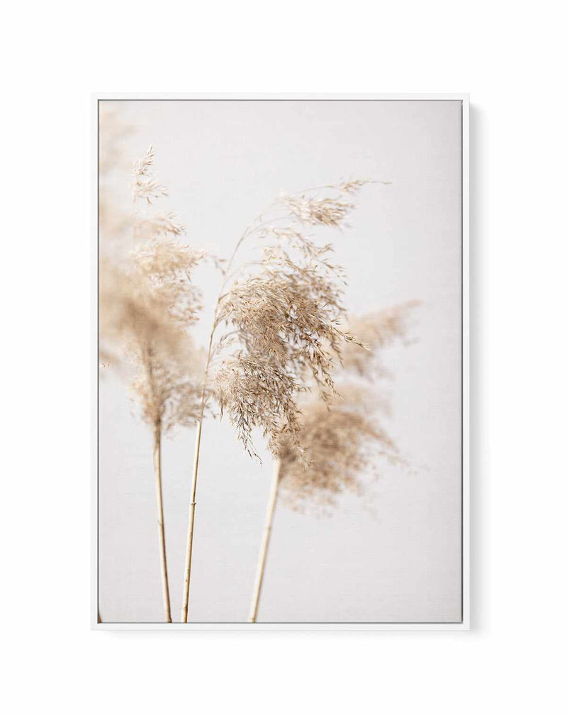Reed Grass Grey IX By Studio III | Framed Canvas Art Print