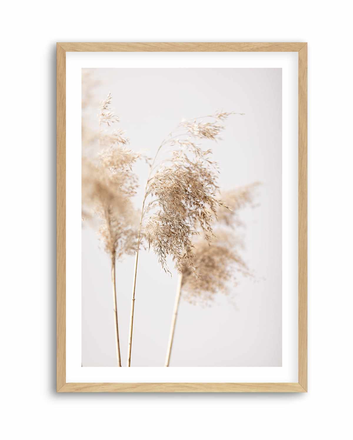 Reed Grass Grey IX By Studio III | Art Print from Olive et Oriel where you can shop wallpaper and artworks online