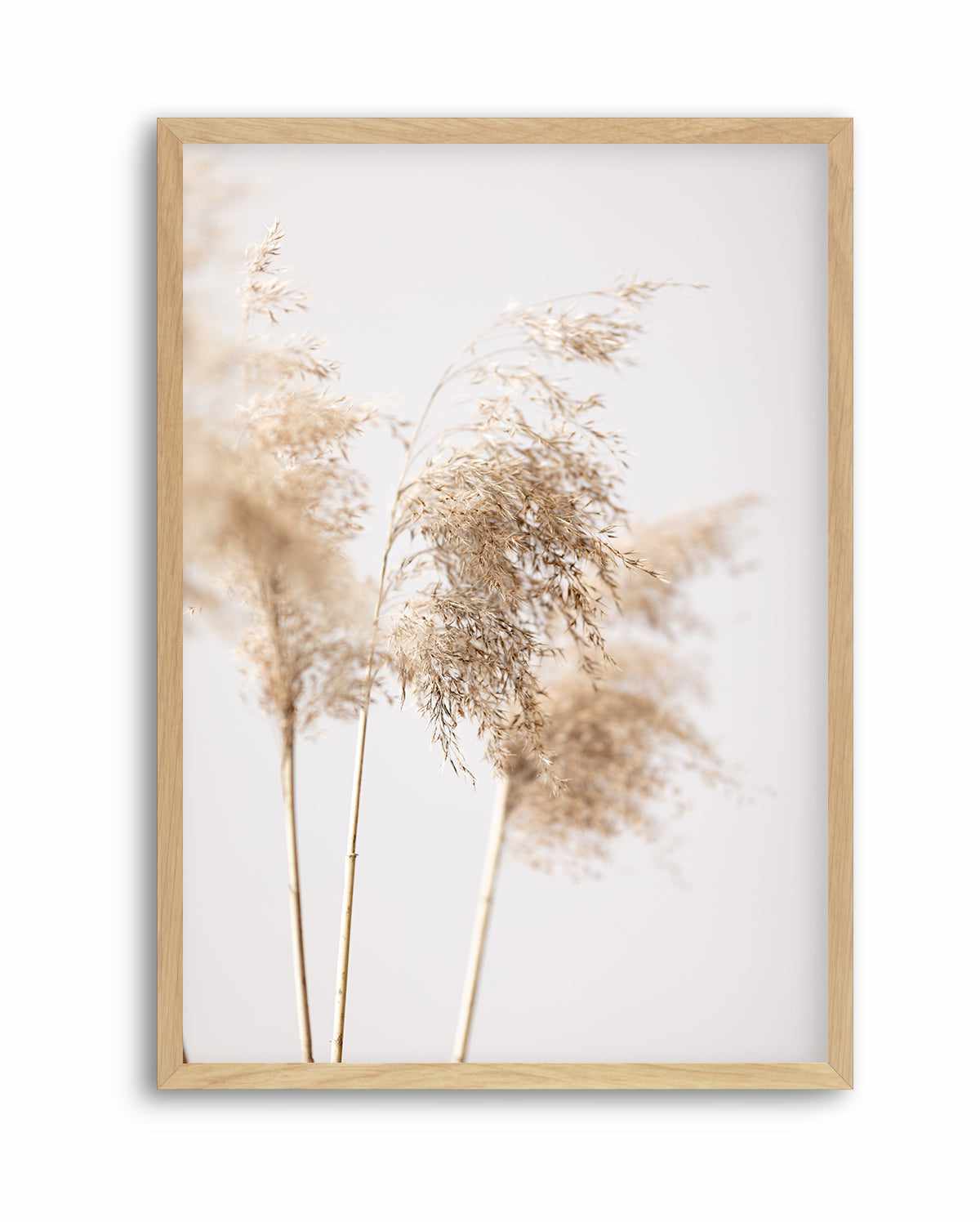 Reed Grass Grey IX By Studio III | Art Print from Olive et Oriel where you can shop wallpaper and artworks online