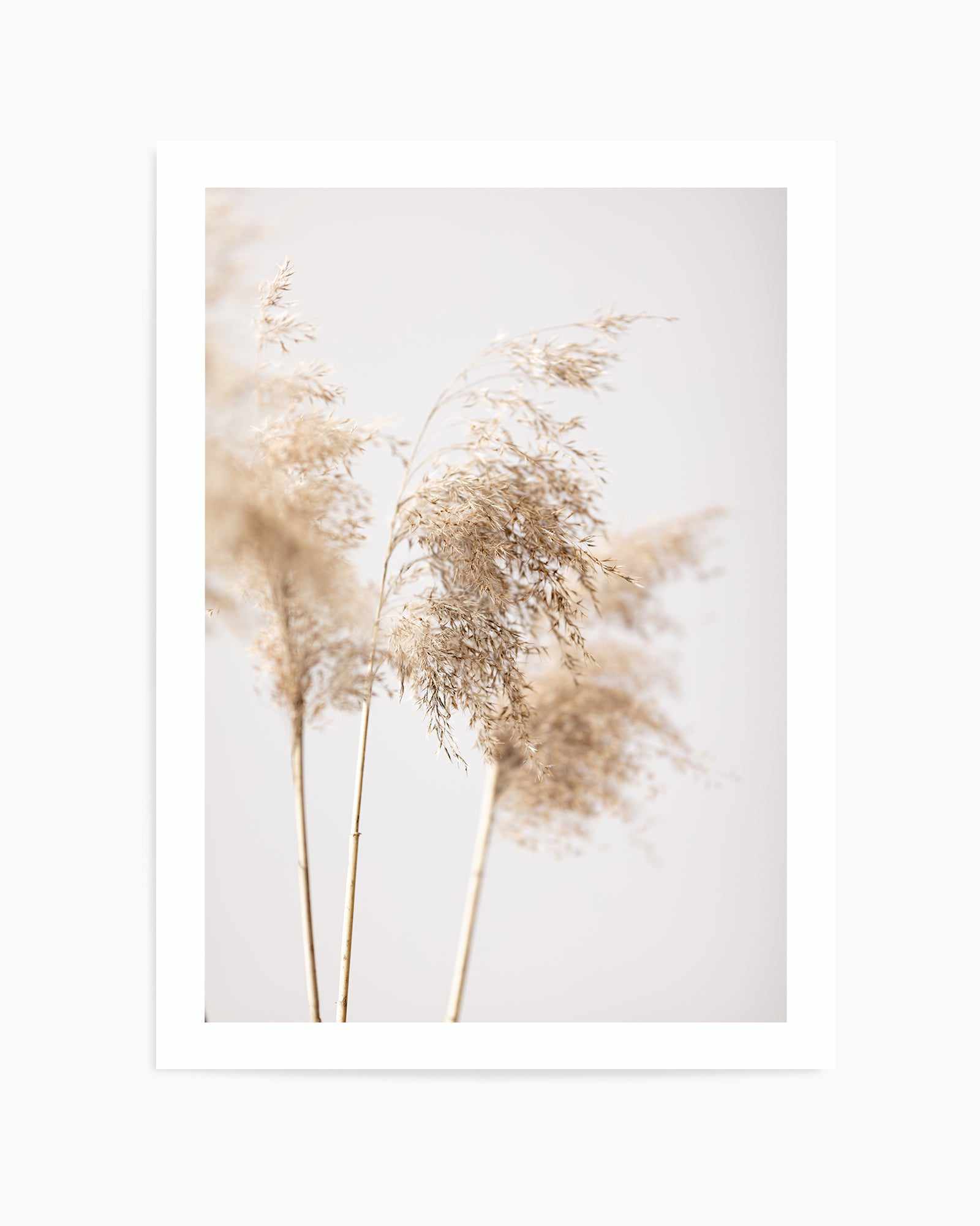Reed Grass Grey IX By Studio III | Art Print from Olive et Oriel where you can shop wallpaper and artworks online