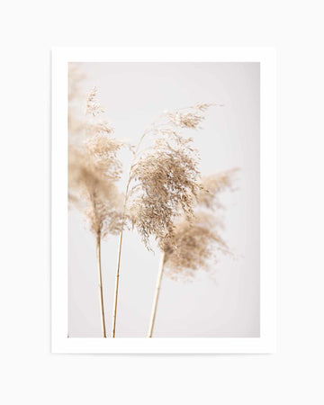 Reed Grass Grey IX By Studio III | Art Print from Olive et Oriel where you can shop wallpaper and artworks online