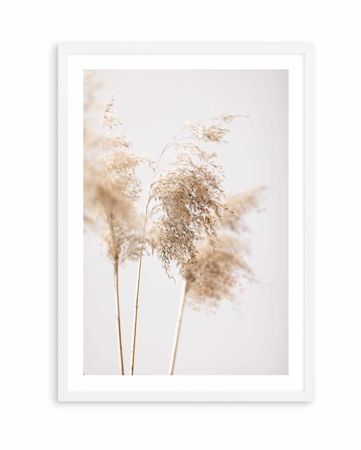 Reed Grass Grey IX By Studio III | Art Print from Olive et Oriel where you can shop wallpaper and artworks online