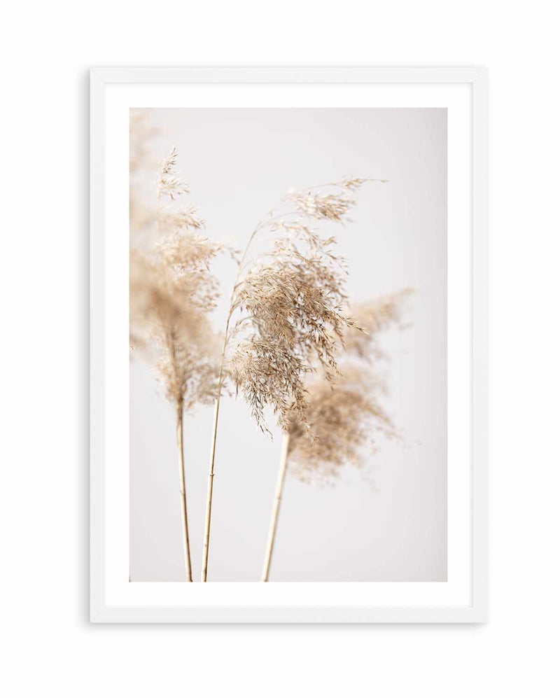 Reed Grass Grey IX By Studio III | Art Print