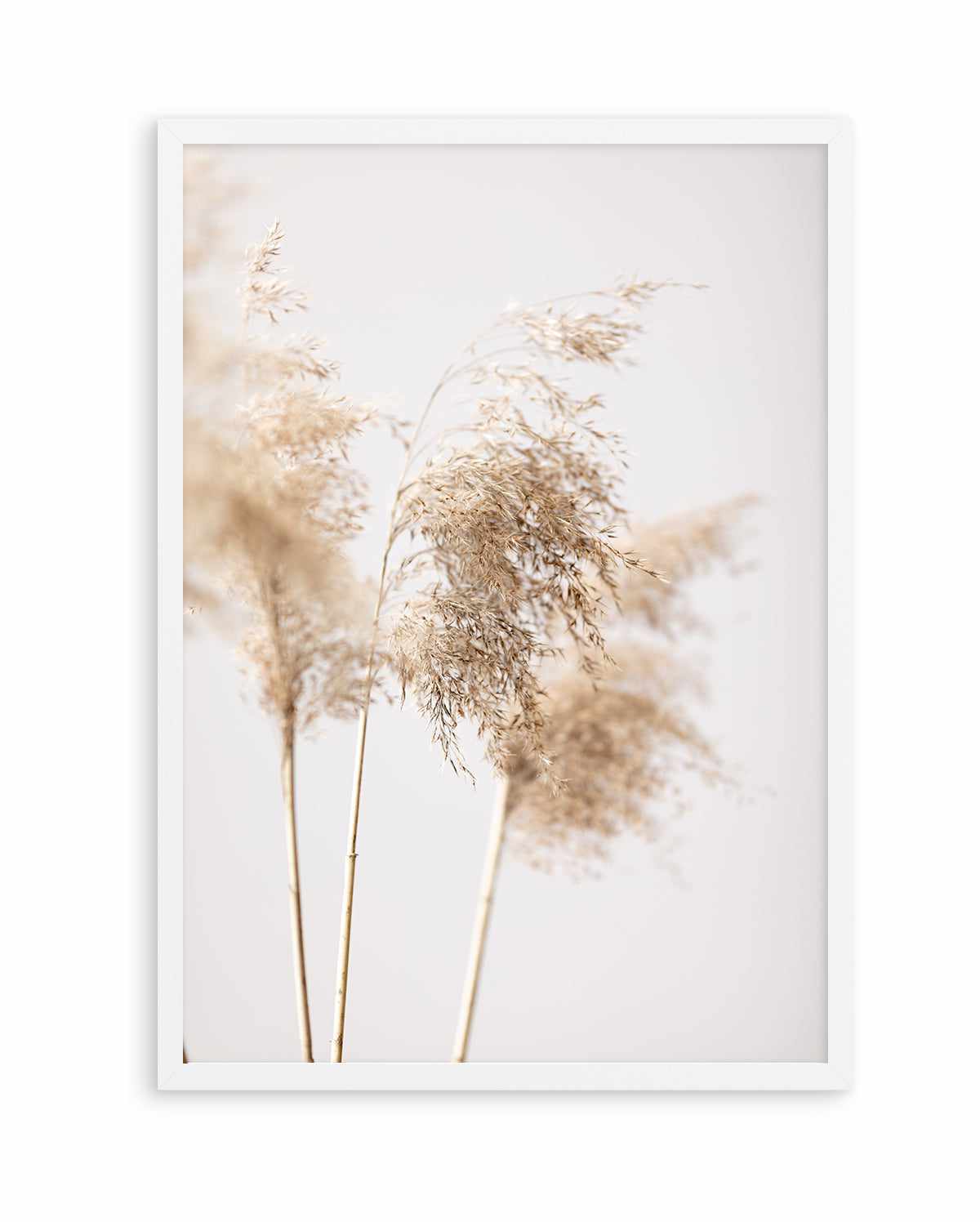 Reed Grass Grey IX By Studio III | Art Print from Olive et Oriel where you can shop wallpaper and artworks online
