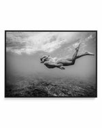 Reef Snorkel | Framed Canvas Art Print