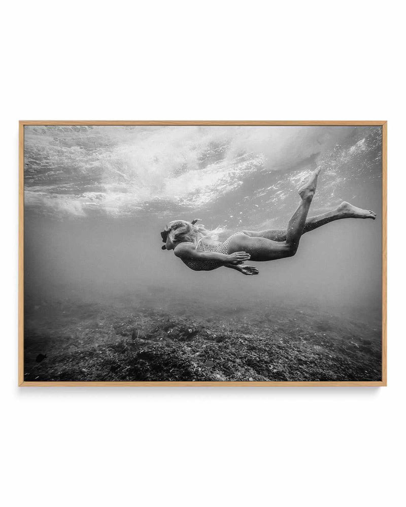 Reef Snorkel | Framed Canvas Art Print